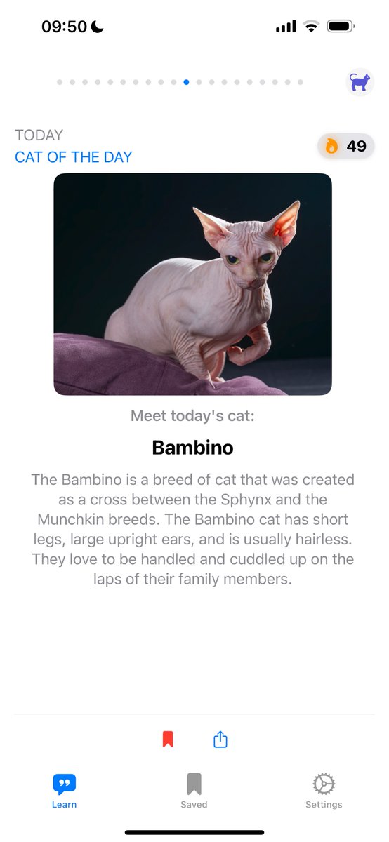 Taiwo Omisore tweet media