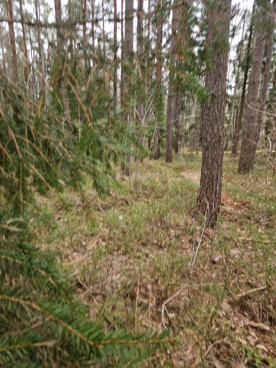 Pissa för änglarna!