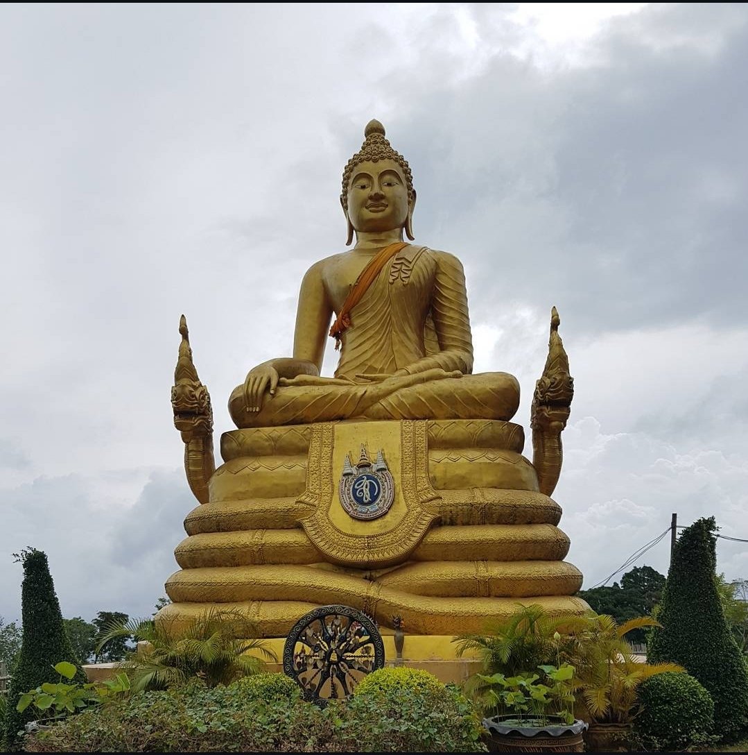 Gm

Have a great Sunday everyone 

Enjoy the day, and don't forget to say GM back 💪🙌