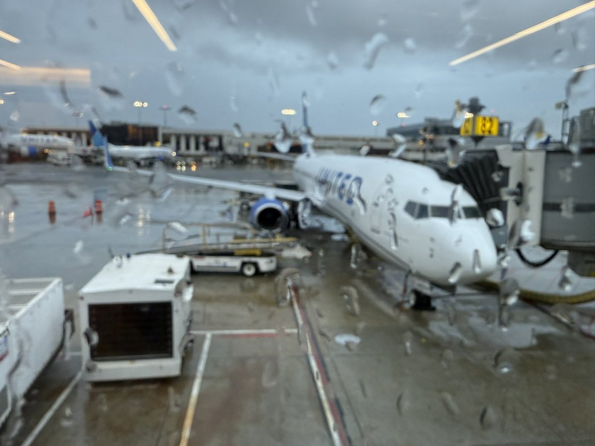 Lynn Gray Hanlon (@lgraysba) on Twitter photo A rainy day connection in LAX….thank you <a href="/united/">United Airlines</a> for getting me safely around our beautiful country today!🇺🇸 <a href="/JayCardiello/">Jay Cardiello</a> <a href="/united/">United Airlines</a> <a href="/UGESocial/">United Ground Express</a> <a href="/LgraySba/">Lynn Gray Hanlon</a> <a href="/flyLAXairport/">LAX Airport</a> <a href="/liana_caviness/">LCaviness LAX United Family Smiles 😊</a> A rainy day connection in LAX….thank you <a href="/united/">United Airlines</a> for getting me safely around our beautiful country today!🇺🇸 <a href="/JayCardiello/">Jay Cardiello</a> <a href="/united/">United Airlines</a> <a href="/UGESocial/">United Ground Express</a> <a href="/LgraySba/">Lynn Gray Hanlon</a> <a href="/flyLAXairport/">LAX Airport</a> <a href="/liana_caviness/">LCaviness LAX United Family Smiles 😊</a>