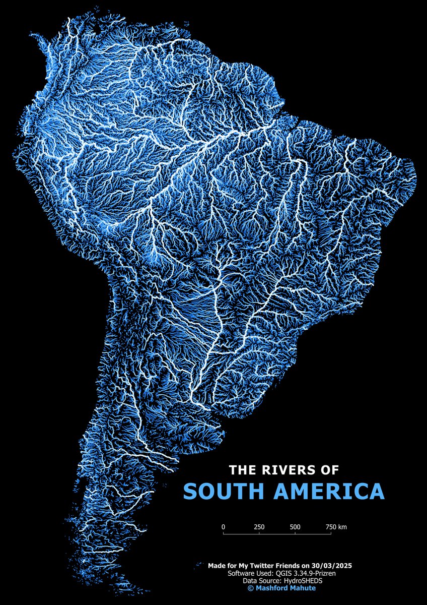 Mashford Mahute tweet media