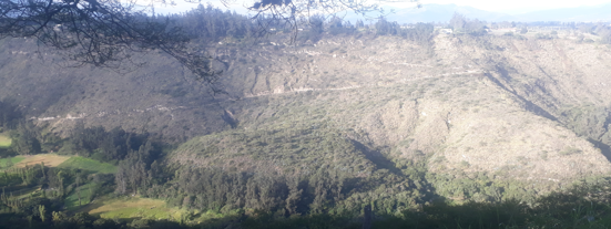VolcanIlalo's tweet photo. Ministra @RominaMProcel , aunque las #quebradasdeQuito, como el #ValledeUravía fueron reconocidas como patrimonio histórico, cultural y paisajístico de #Quito, @aguadequito  pretende construir una planta de tratamiento de aguas residuales en este lugar. Existen mejores lugares. https://t.co/cAdfy9NQbV