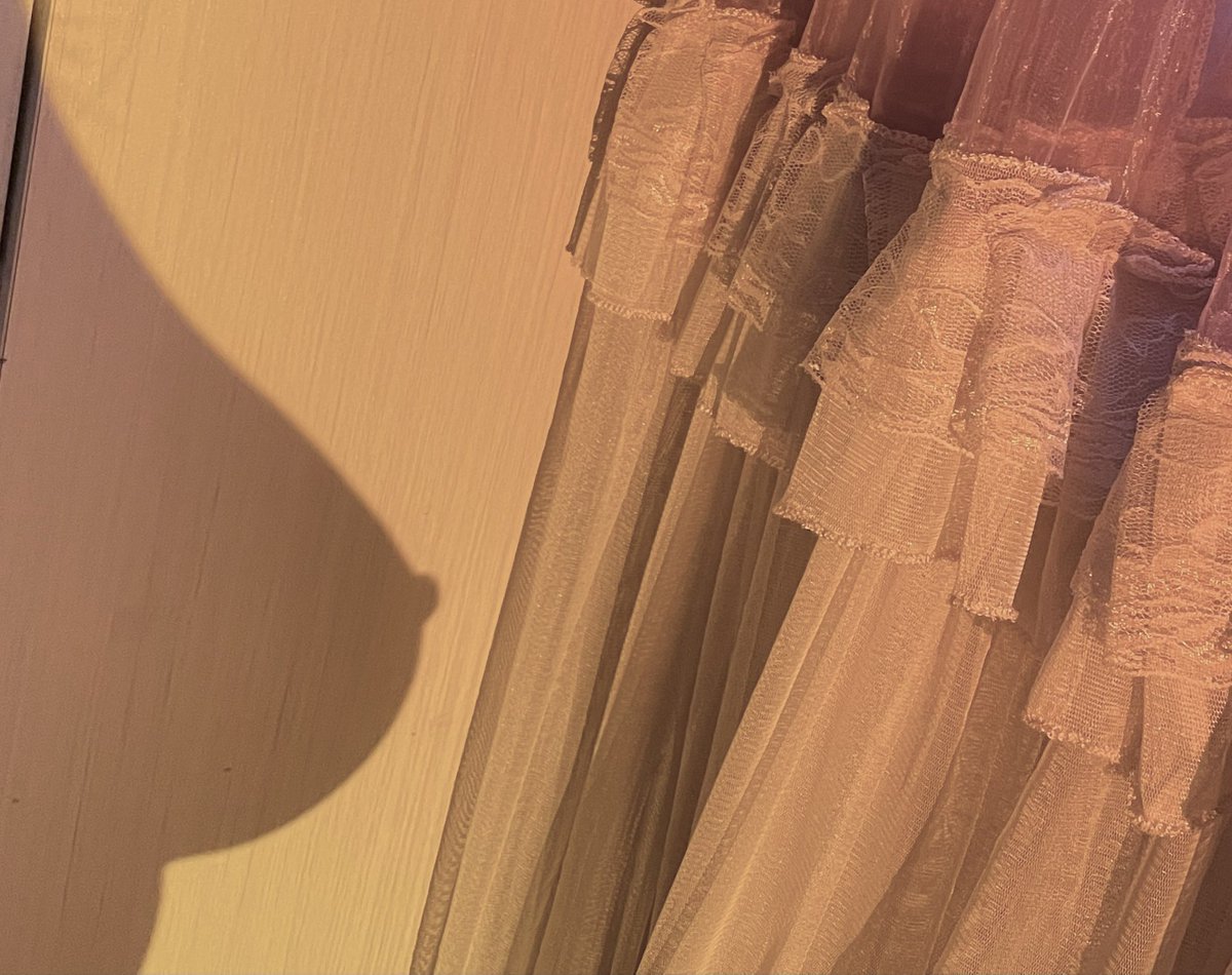 これ何かわかる人！
コメントで教えて♡