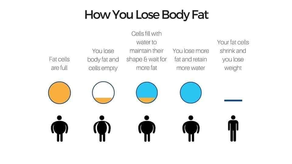 LEXETIV01's tweet photo. Hope this helps some of u who struggle wth losing weight rn even though they arwnt eating alot🙏🏻 https://t.co/70ihnksVjs