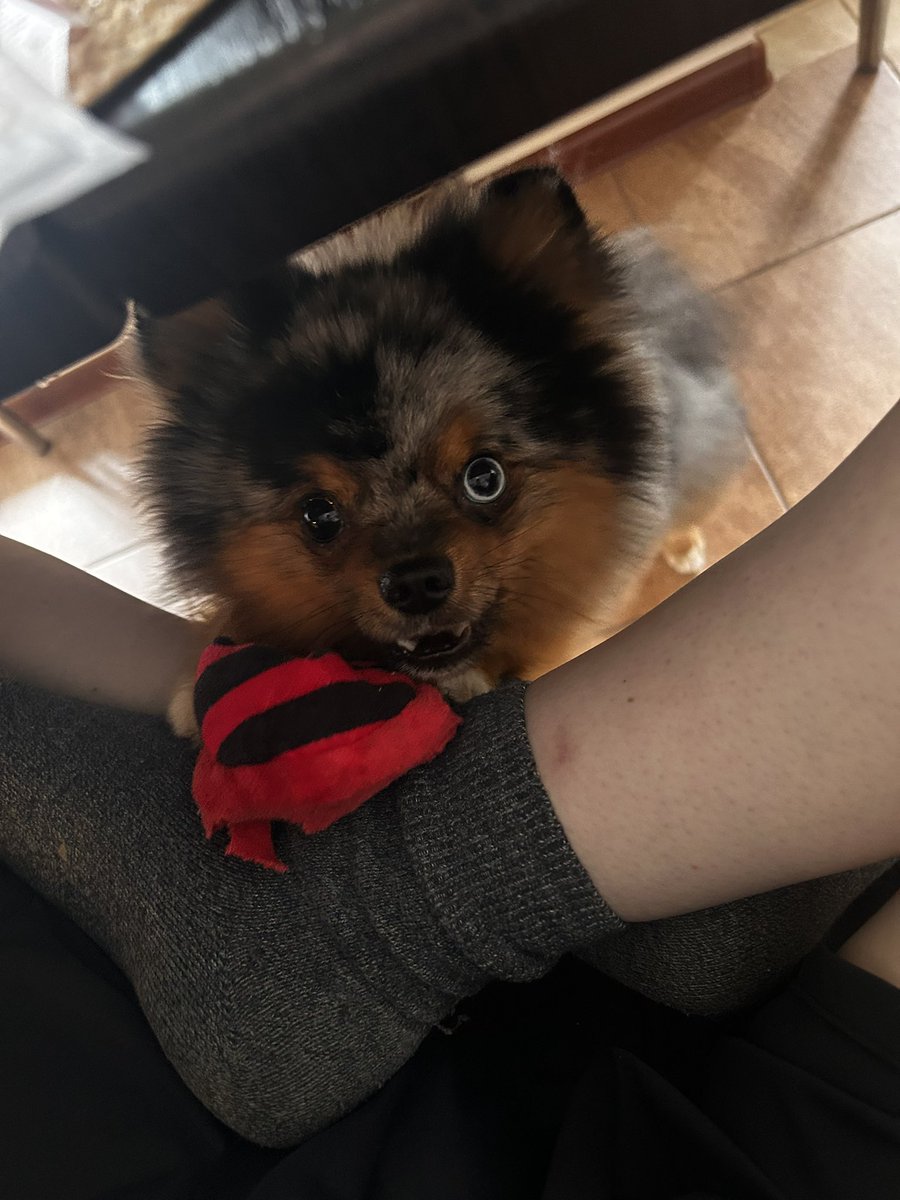 Каждый прием пищи выглядит вот так