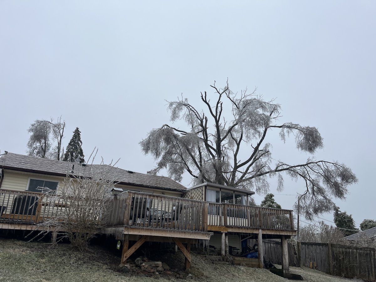 Quite the storm, wow. About 3/4” of ice accretion as of 9am, near Hastings/Norwood. Branches and trees continue snapping under the weight. Not much left of our elm trees at home #ONStorm
