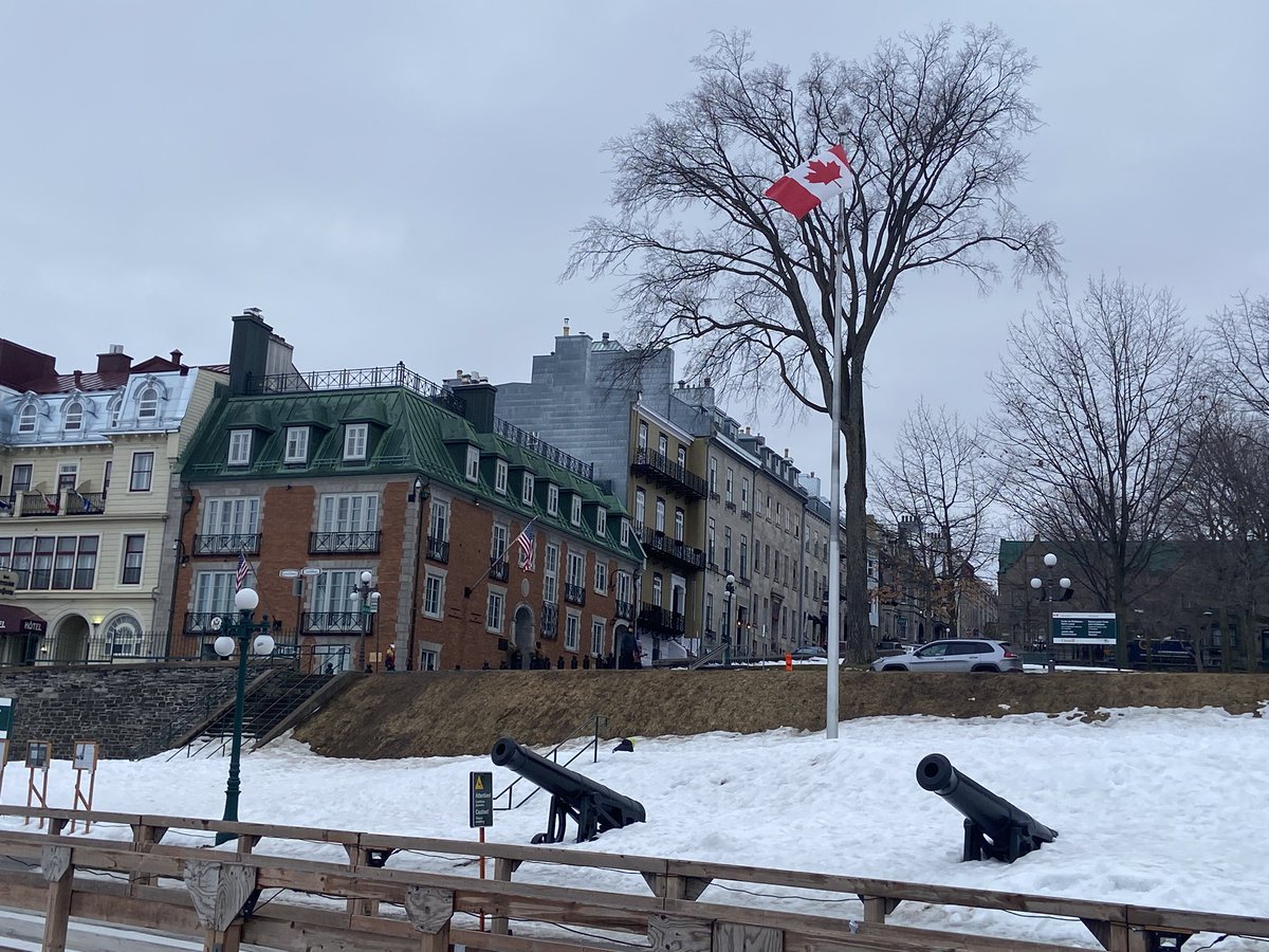 Finit les vacances au Canada ! 🇨🇦 J’ai bien profité de ces deux semaines pour prendre du temps en famille et aussi  réfléchir à des projets futurs pour stream! 
Mardi 12h30, on se retrouve sur Twitch pour vous raconter mes vacances, et ensuite on enchaîne sur Inzoi 🌸🦊