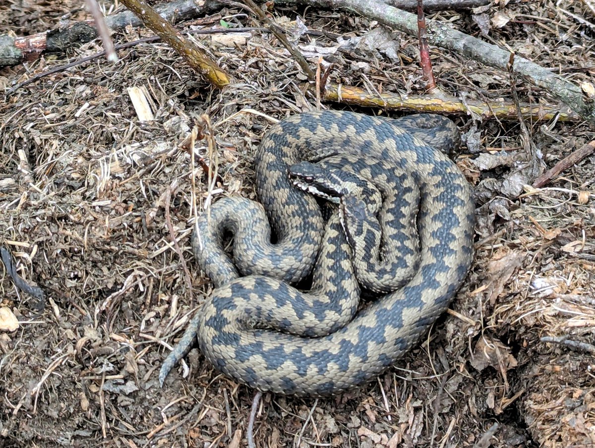 Ta dnešní změna času byla rovnou na sv. Jiří, ne?