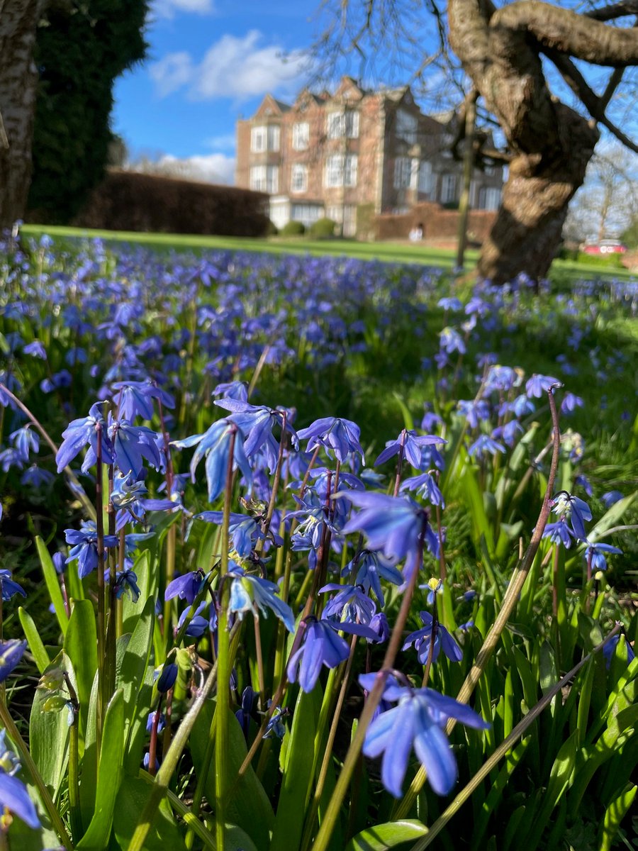 Happy Mother's Day from all at Goldsborough Hall #MothersDay