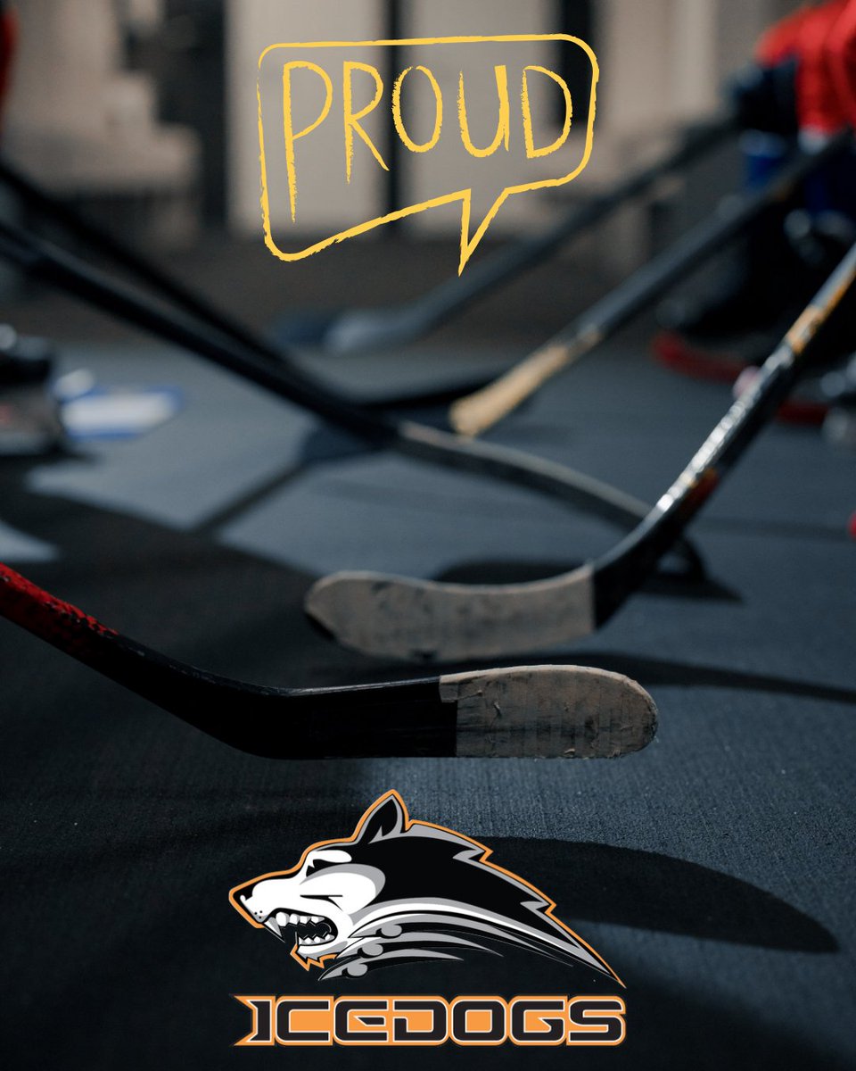 CassEmbIcedogs's tweet photo. U15 IceDogs, You Are Champions in Our Eyes!
What an incredible season! Hold your heads high, IceDogs 🐺🏒💛🖤
****
U15 IceDogs, vous êtes des champions à nos yeux !
Quelle saison incroyable ! 
Gardez la tête haute, IceDogs 🐺🏒💛🖤
#IceDogs #skatewiththepack https://t.co/igYUBntMIE
