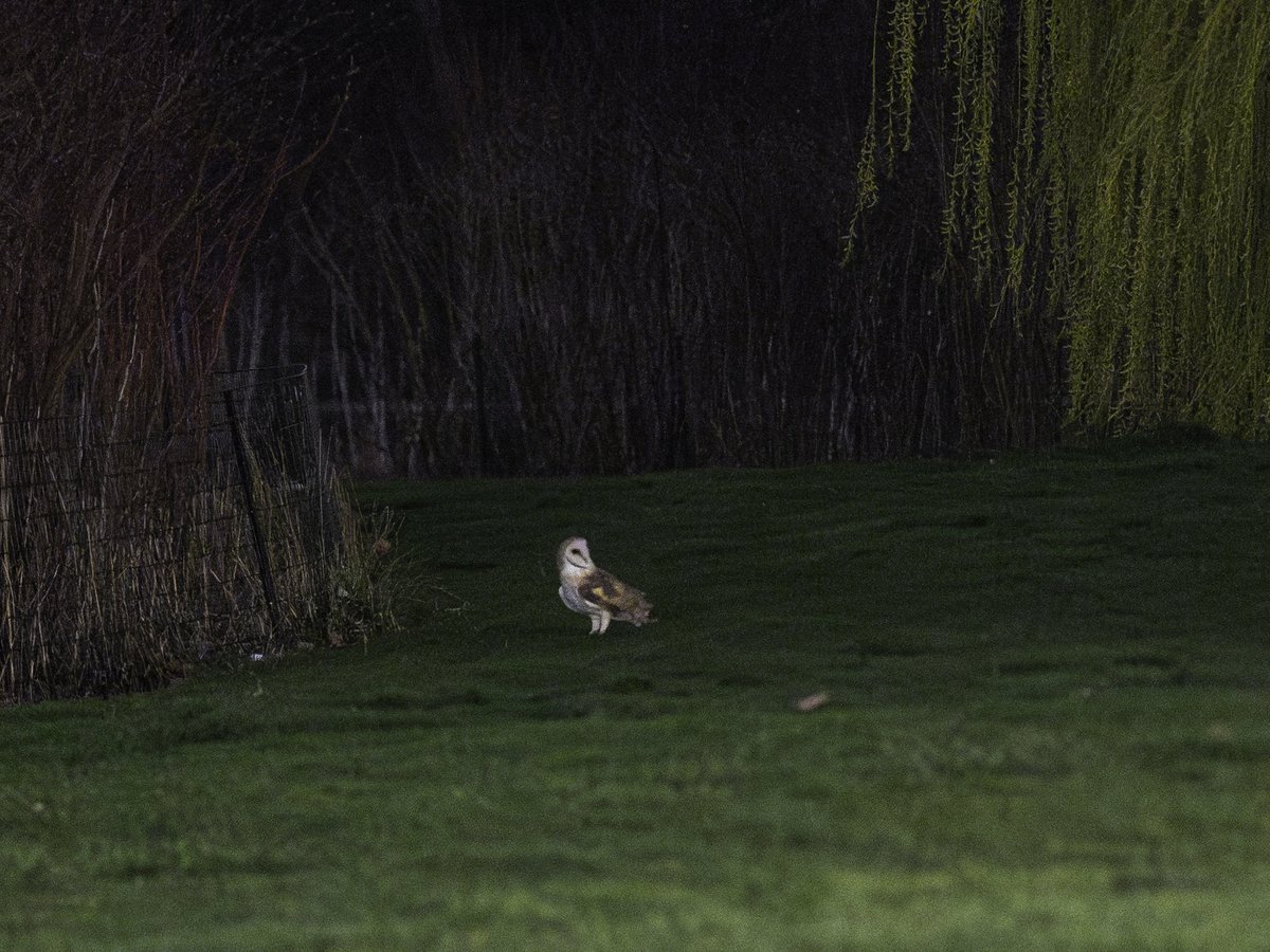 Jacqueline Emery tweet media