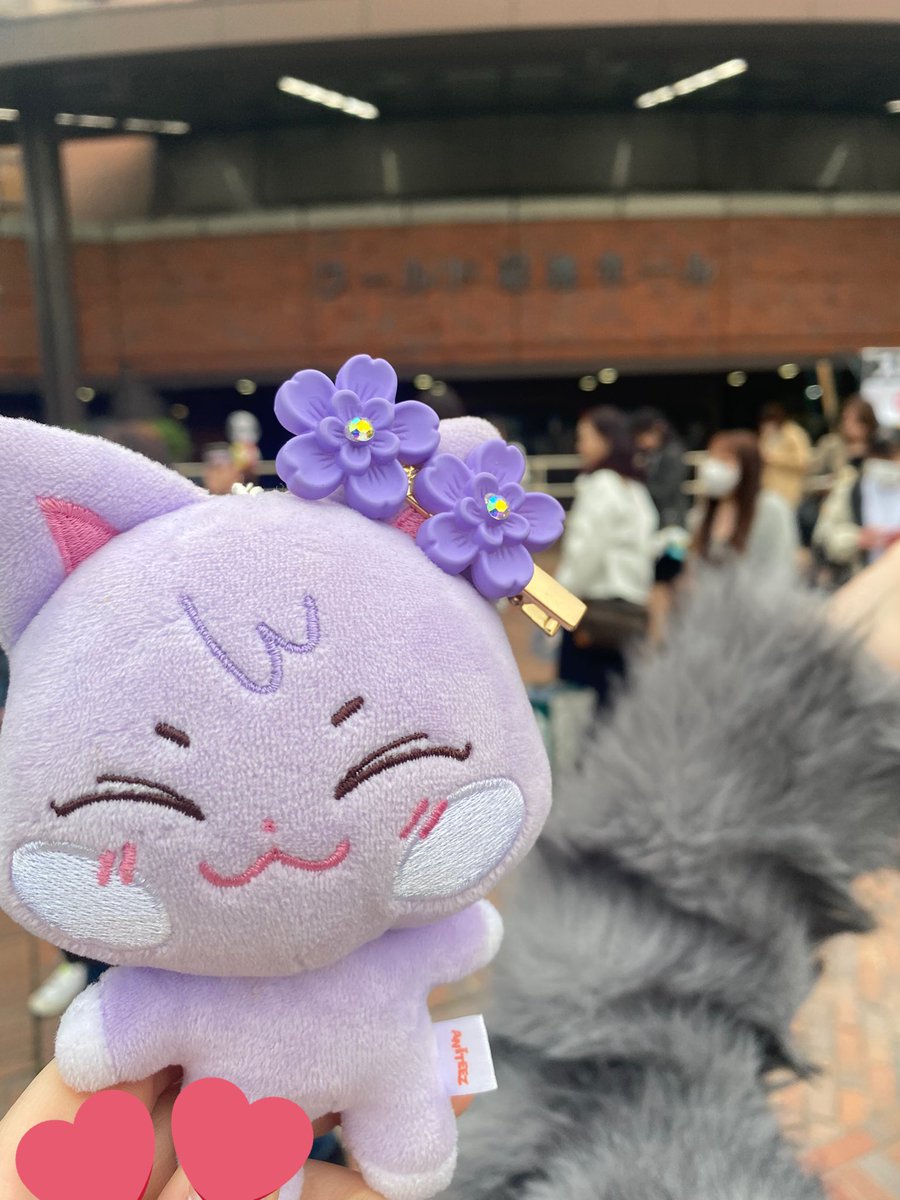 angae777san's tweet photo. 神戸ペンミ
台本通りやるマンだから挨拶とメントは4回ほぼ同じだけど神戸1日目はニット帽から出てるサイドバングがめちゃくちゃ良かった🫶🏻 https://t.co/XuNV0XCZar