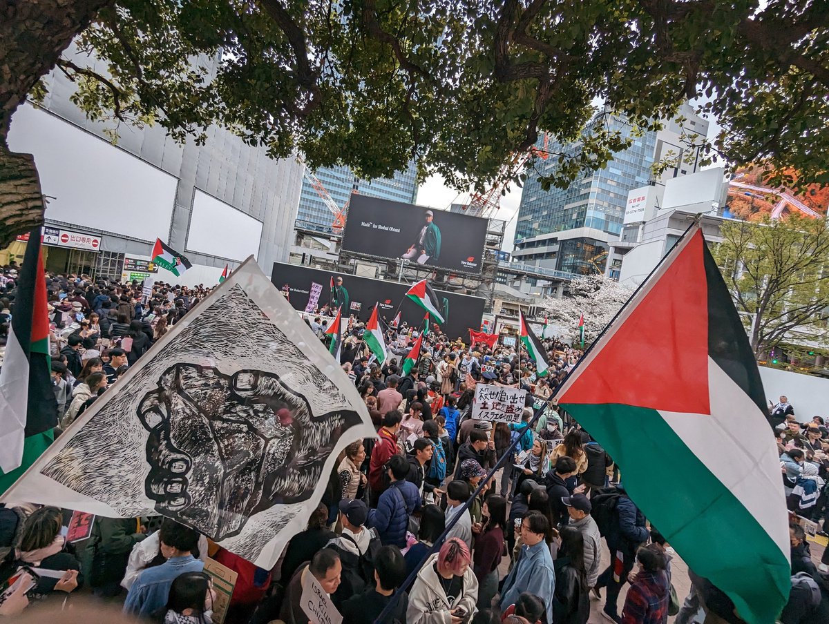 杉原こうじ（NAJAT・緑の党） tweet media