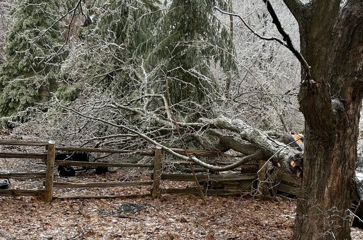 As a result of the ice storm last night and due to tree limbs breaking and falling, all parks, trails and tracts in Mono are now closed until further notice.