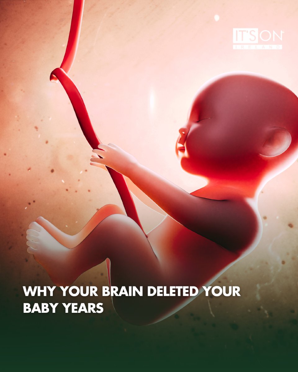 ItsOn_ie's tweet image. Ever wonder why your brain wiped out the first few years of your life? Neuroscientists explain the fascinating process behind memory formation and childhood forgetfulness.

#MemoryScience #BrainDevelopment #ChildhoodMemories #IrishHealth #ItsOnIreland #NeuroscienceNews…