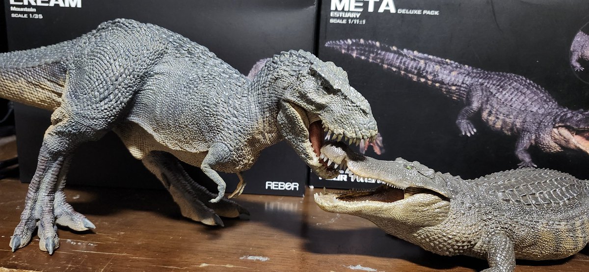 gfwavp100's tweet photo. 間を置きましたが、🦖#REBOR🐊社製の🦖#ティラノサウルス/#TYRANNOSAURUSREX🦖と🐊#デイノスクス/#DEINOSUCHUS🐊を並べて対峙させると、このように迫力のある様に💥🦖🐊💥
REBOR社も優良フィギュアメーカーで✨🦖🐊✨
#恐竜
#DINOSAUR
#鰐
#ワニ
#CROCODIE https://t.co/ewDzhXyUof