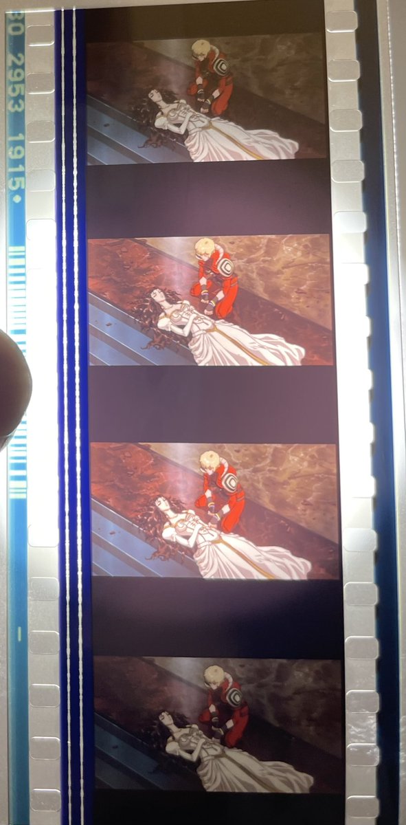 兼田 紗己子☻ tweet media