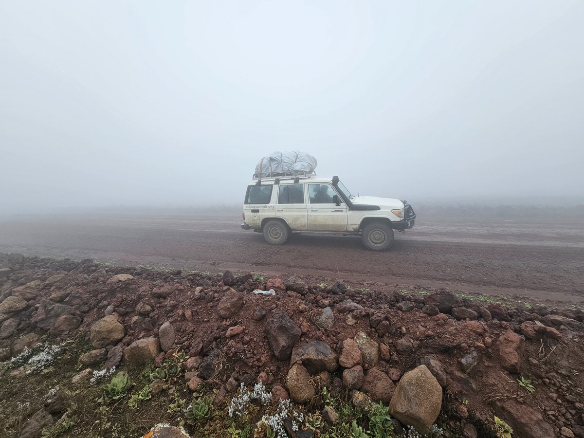 SamuneAbdi's tweet photo. This week at the sanetti rain and heavy foggy. The #EWCP team that was there for the wolves there was heavy rain and foggy. EWCP team, we don't think for this rain and foggy.  Only our team to focus on the #EthiopianWolves.
@KyKebero 
@ClaudioSillero 
@Arctic_paws 
@WildCRU_Ox https://t.co/PN2bEHnq8O