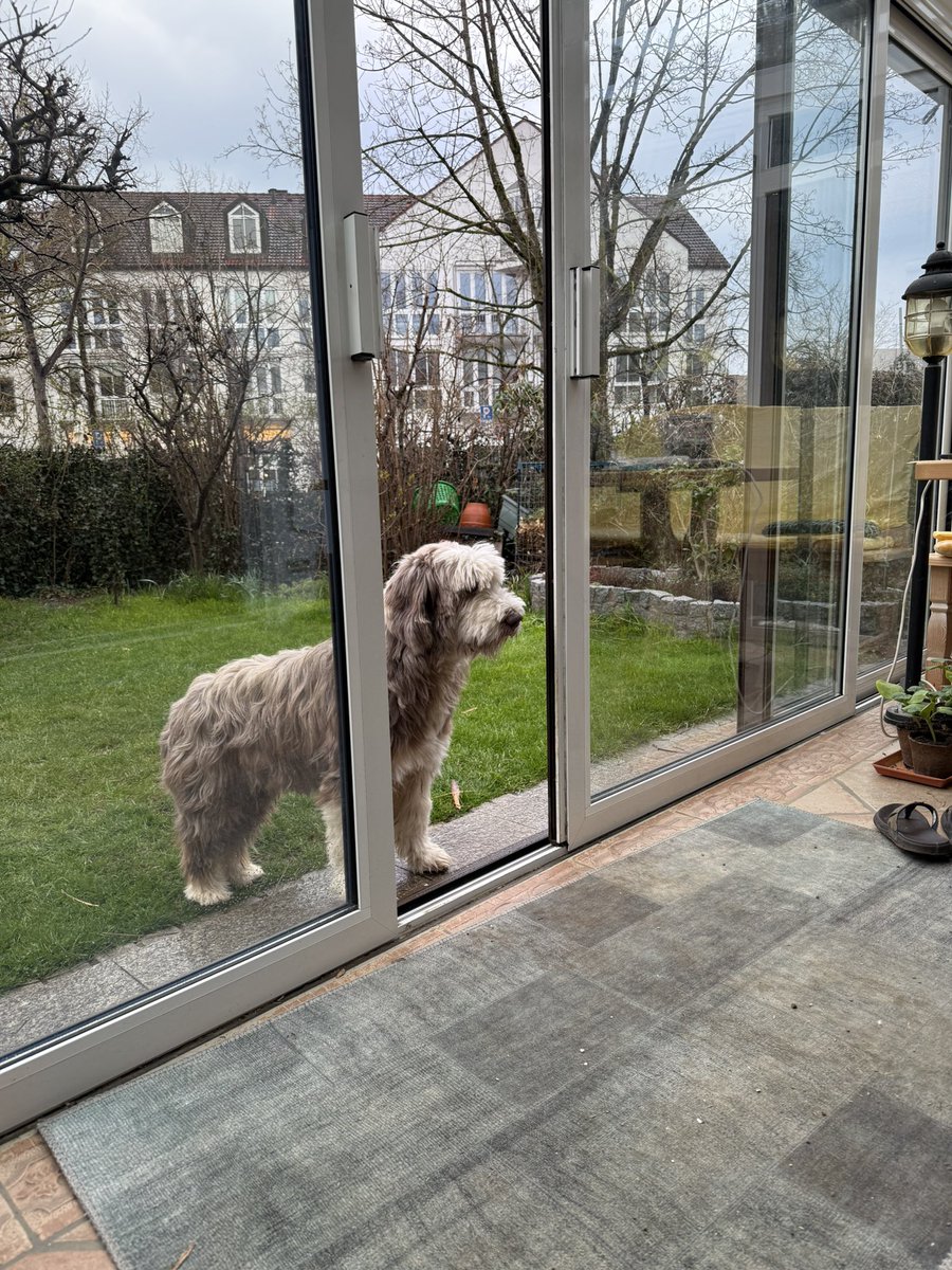 Ich wünsche einen schönen Restsonntag und allen einen guten Start in die neue Woche!
Auf unserem Staarenkasten baut eine Amsel ihr Nest 😃