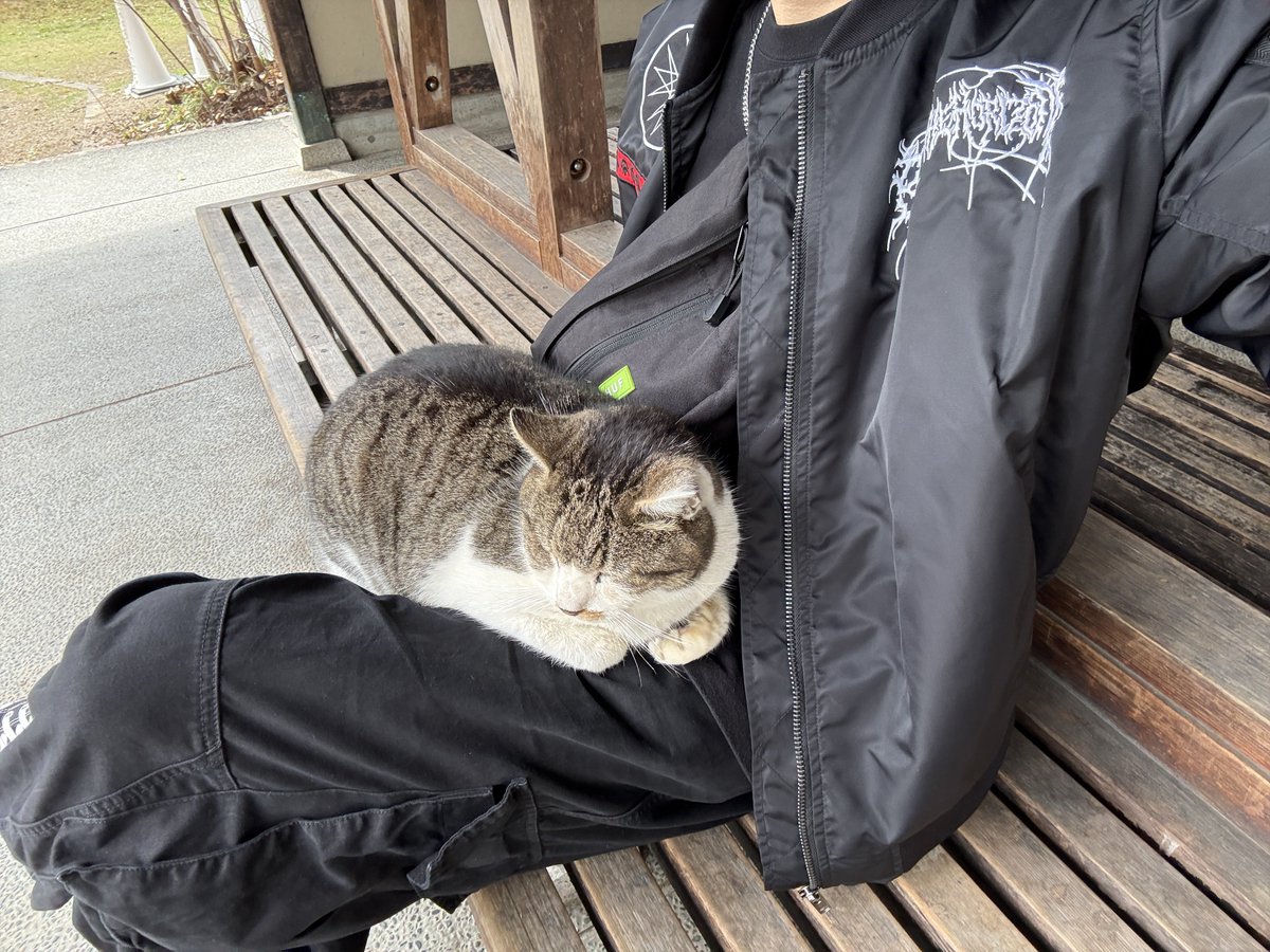 今週末はDEXFEST&amp;名古屋城で花見したよん