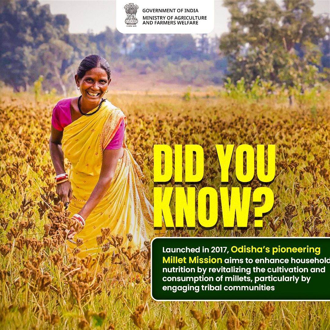Millet Mission: Odisha’s #Millet Mission, launched in 2017, empowers tribal communities by revitalizing millet cultivation and improving household #nutrition for a healthier tomorrow.