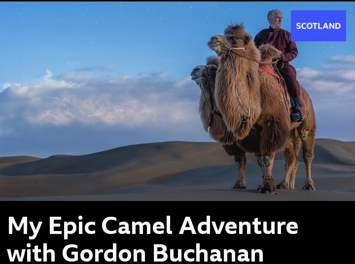 Rachel Hay tweet media