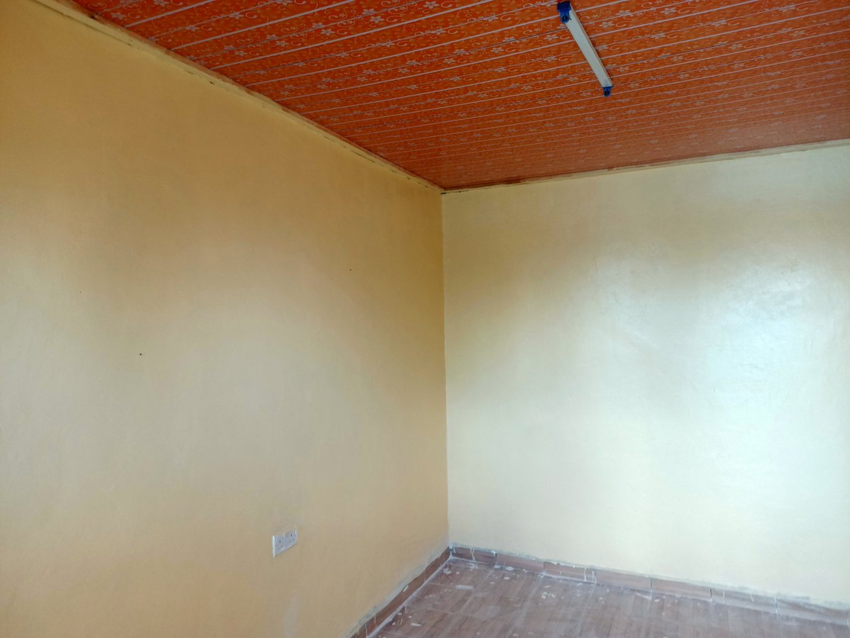 Kareps_Property's tweet photo. Single rooms, Good for students. Mulunyu in Sichirai. 4,000
Kakamega 
0715257829 https://t.co/jWy7rFO3kH