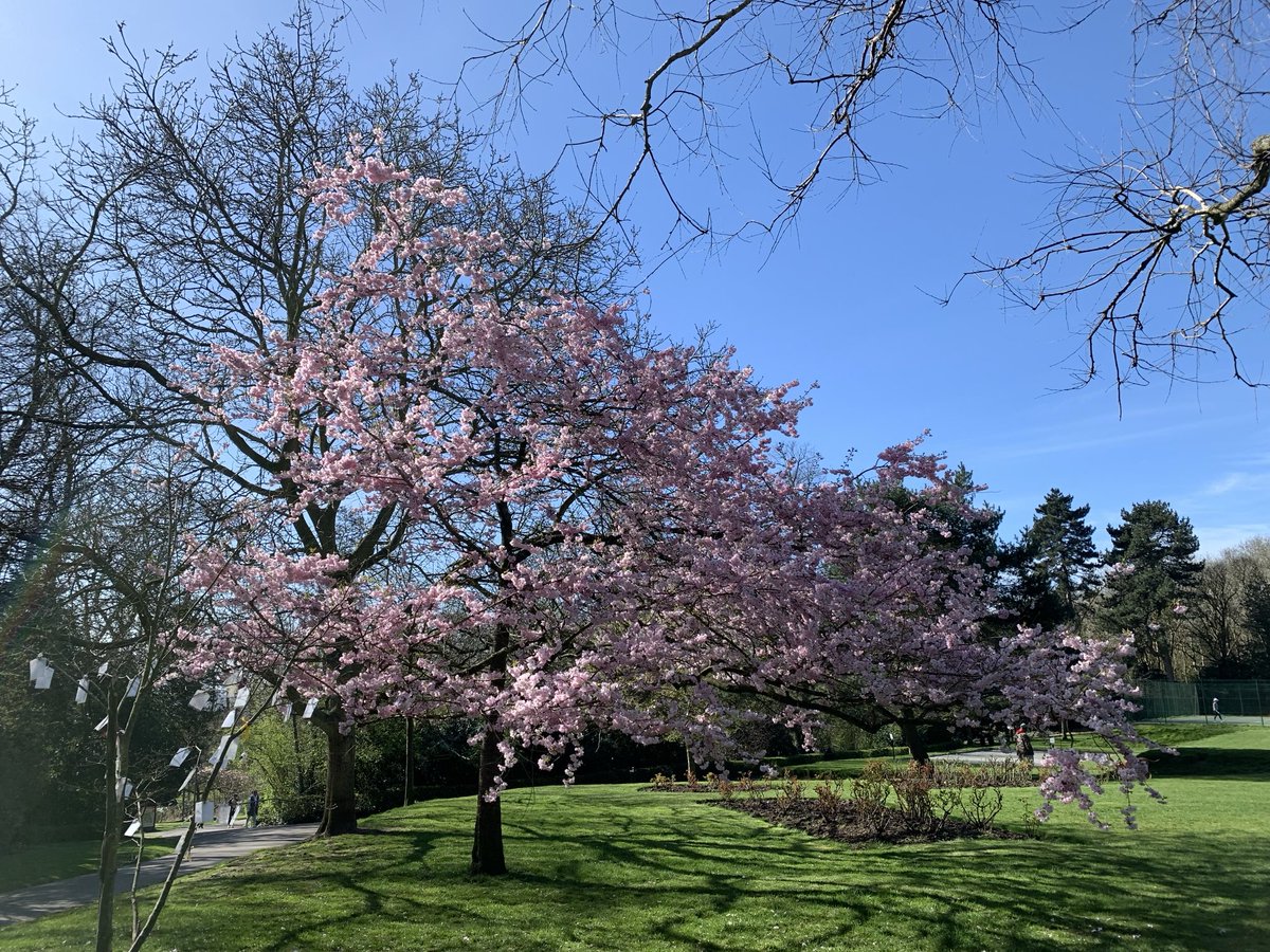 Happy Mother’s Day 💪💐🌸