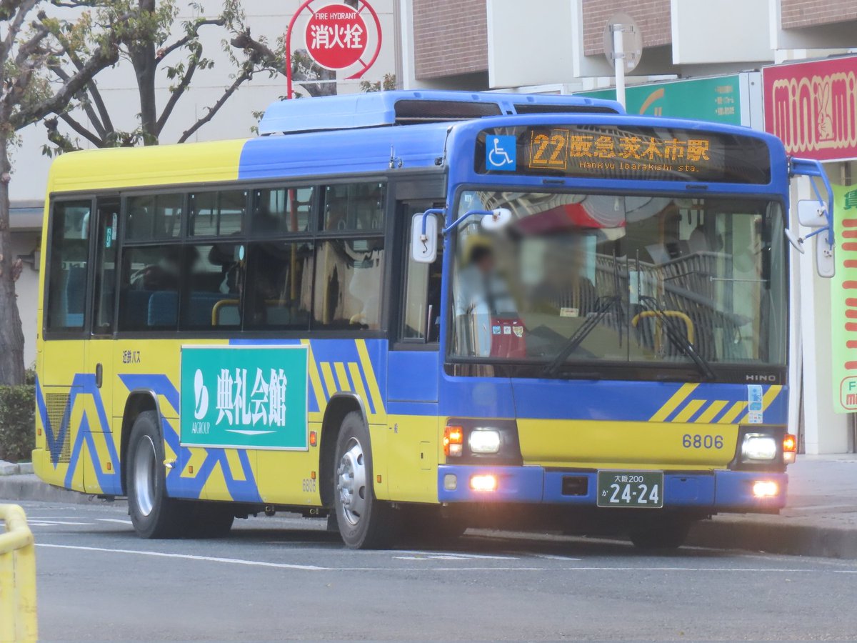 ひやま Pine Escape Glasses #4430924 | Zenni Optical