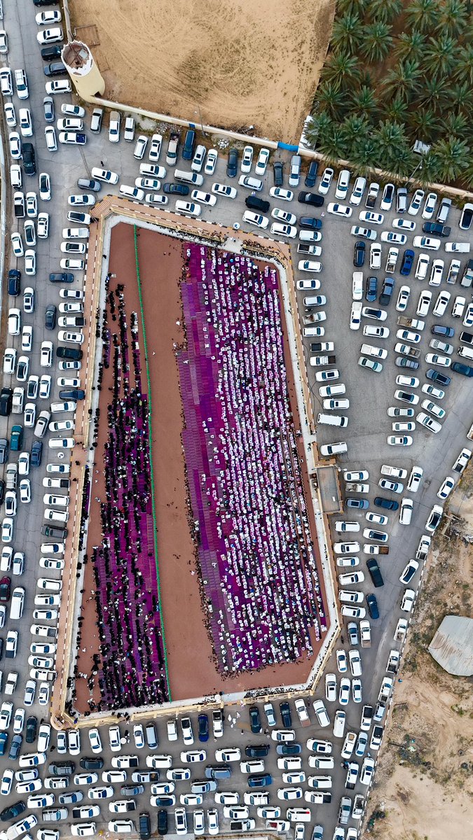 محمد العيد Mohmmad ALeid tweet media