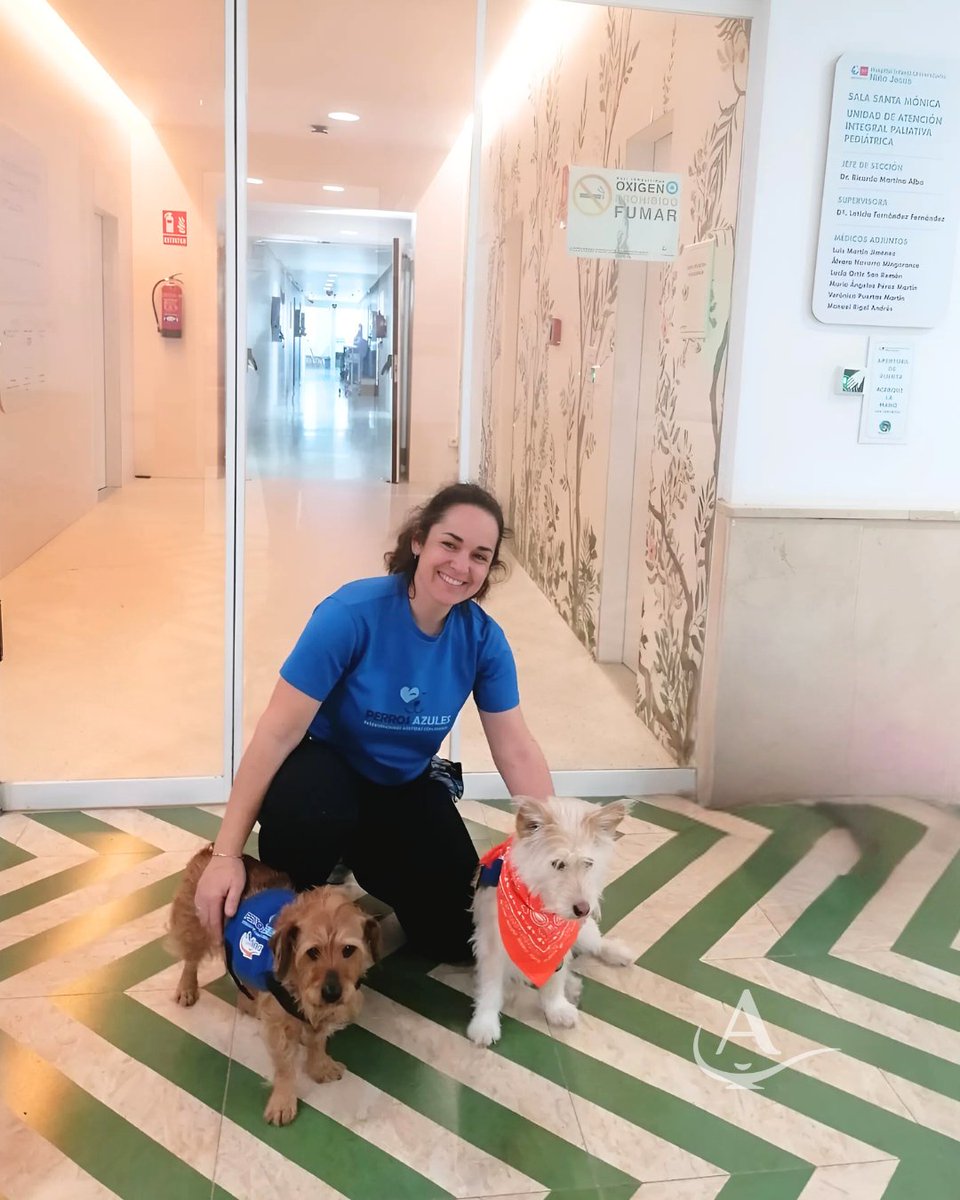 FundAladina's tweet photo. En Aladina sabemos lo importante que es acompañar a los niños con cáncer en todo momento, y por eso nuestros compis de cuatro patas🐾 visitan de la mano de #PerrosAzules cada semana la Unidad de Paliativos del Niño Jesús, para compartir con los aladinos todo su cariño y alegría https://t.co/8dhsq71v3X