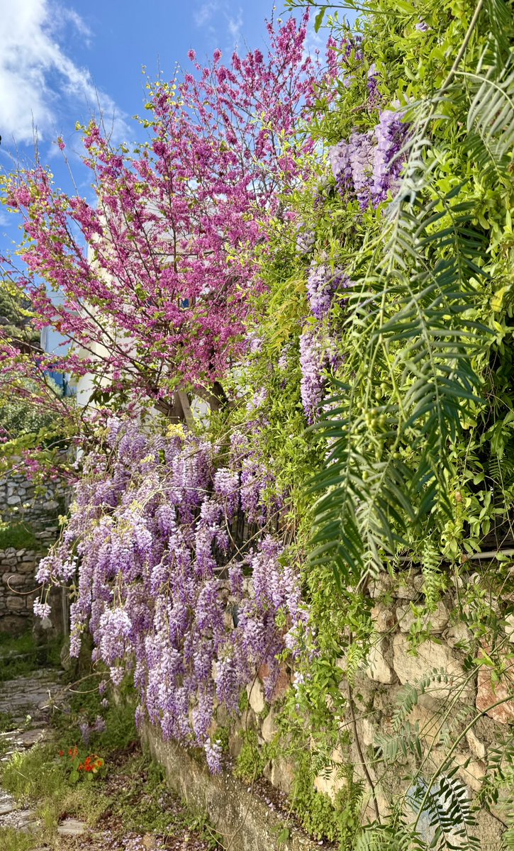 Farklılıklarla sarmalanmanın güzelliğiyle, birlik beraberlikle, neşeyle ve bayram bilinciyle yasamak nasip olsun. Bu bayram degisim ve iyilikler getirsin ülkemize ve bizlere 🌸