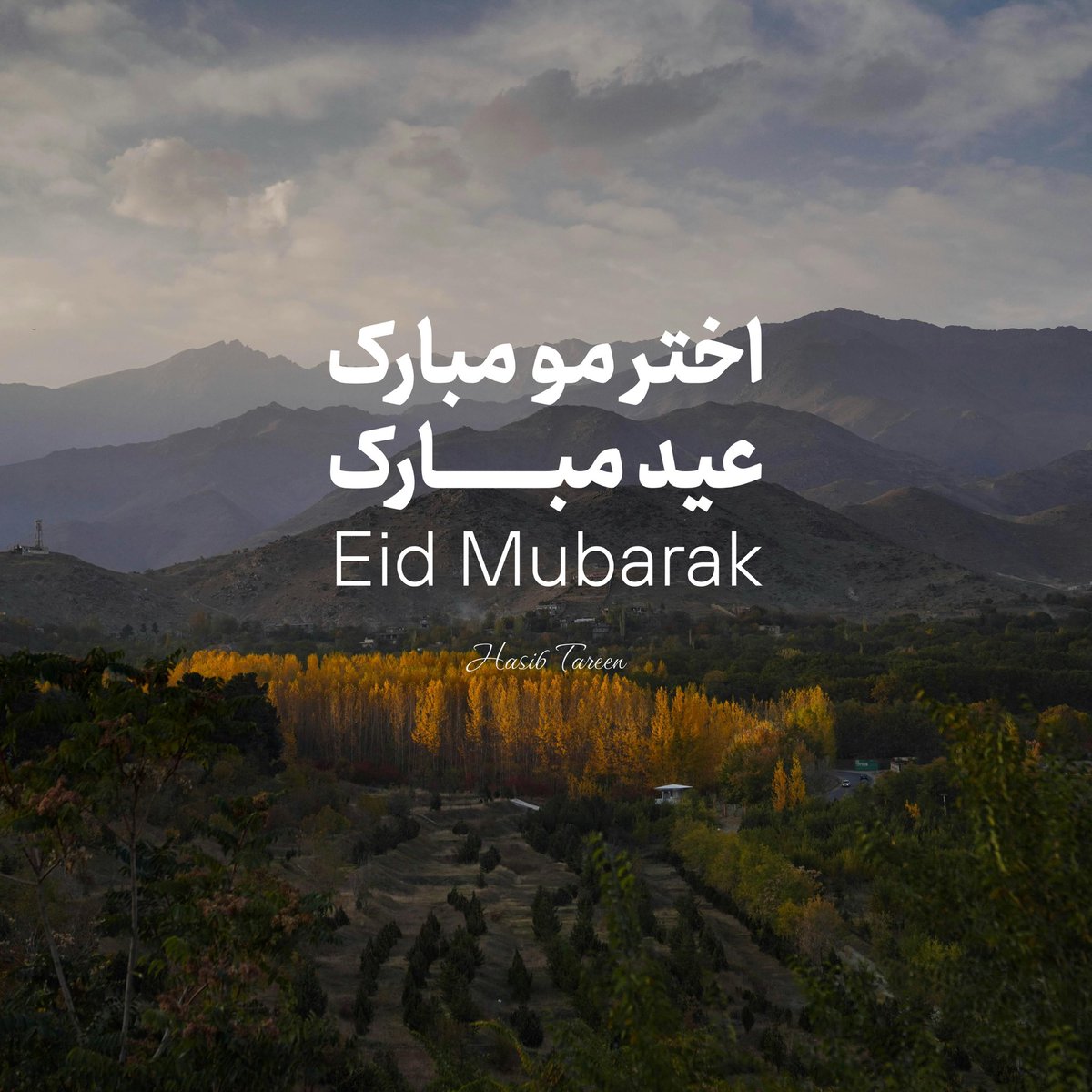 Hasib Tareen 🇦🇫 (@hasibtareen) on Twitter photo 