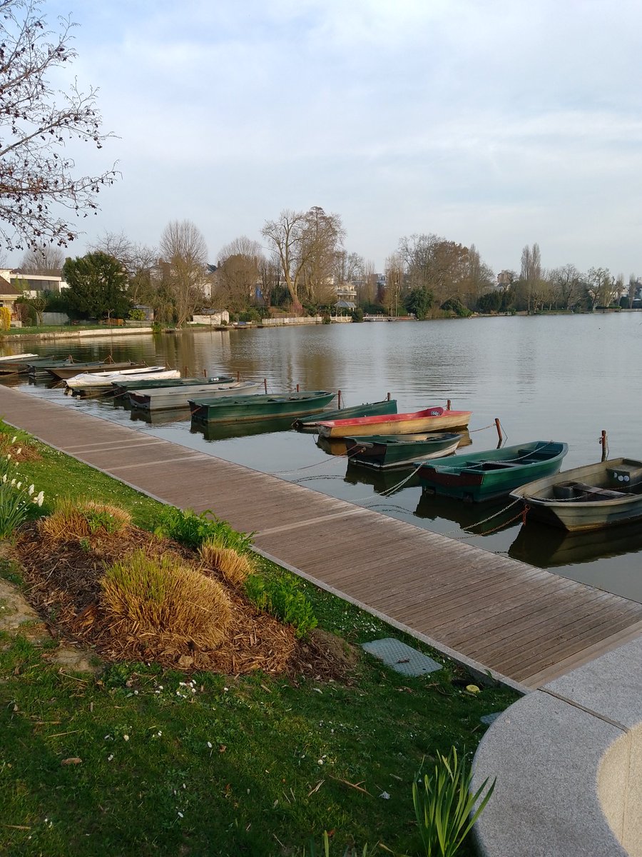 Deville Cavellin Patrick (@cavellinpatrick) on Twitter photo 