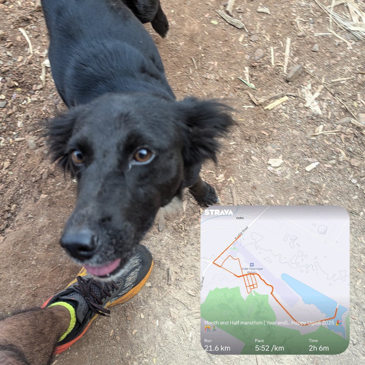 ADKPATIL's tweet image. Great Sunday 
Half Marathon 
+ 
Cycling 
+ 
High tea with Rider's Family 

#running 
#cycling 
#nevergiveup