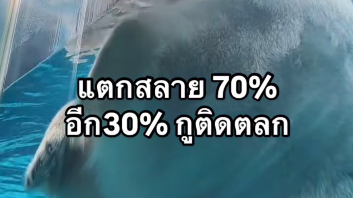 psmark1821's tweet image. ไม่งงจะงงมาก555555555555