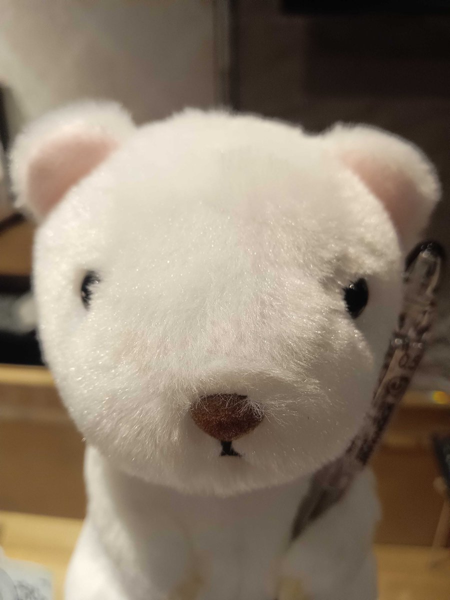 本日の営業無事終了いたしました。  
次週金曜日の営業日は通常営予定てございます。  

貸切等が入った場合このアカウントにて案内ツイート行いますので情報をお待ちくださいませ。  

レンタルスペースとしての貸切予約は 下記URLから↓  space.dorakujyuku.com

 #秋葉原  #アキバ #ボドゲ