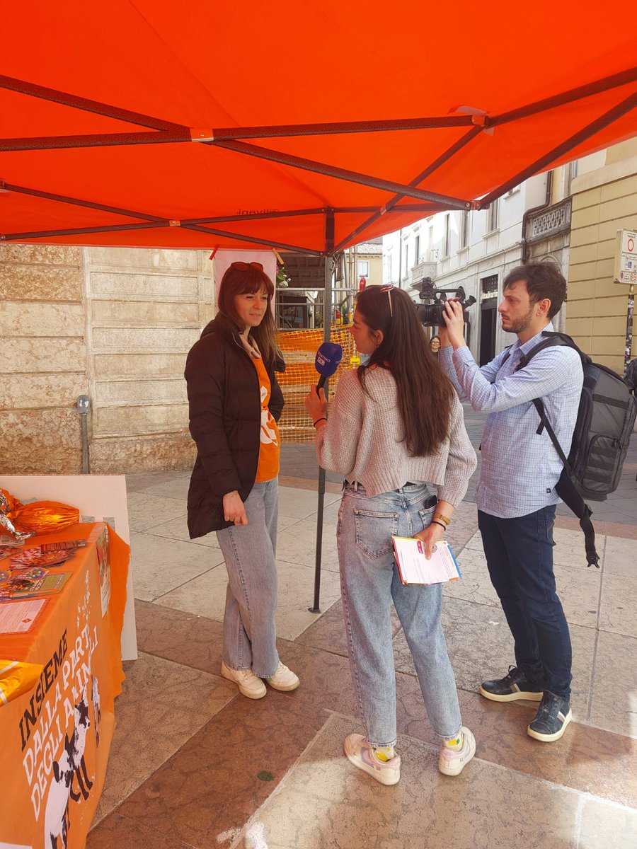 LAV Trentino tweet media