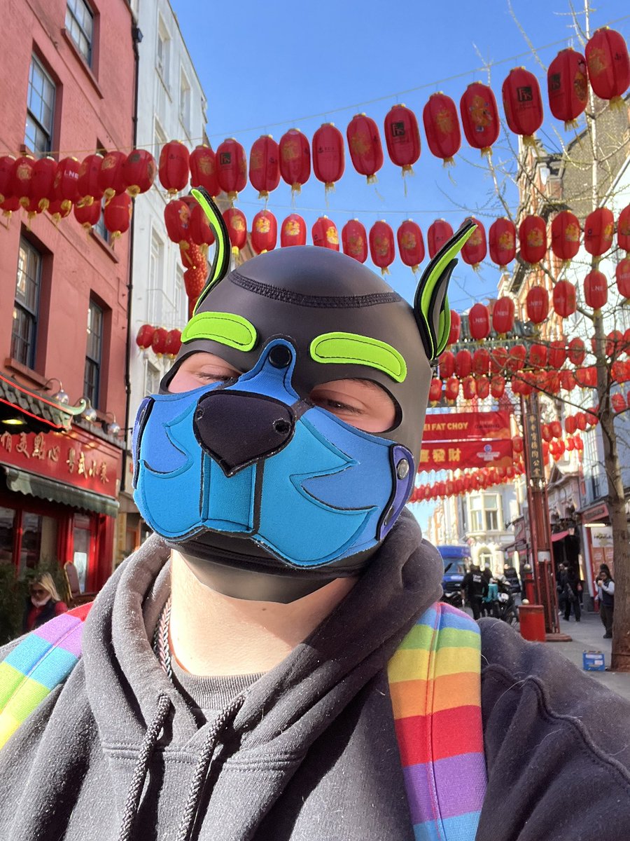 Smol_Pup_Sammy's tweet photo. Puppy gots a new hood, and went on walkies around London 🩵💚

#humanpup #humanpupplay #pupplay #transpup #pupplaycommunity https://t.co/cDJEVohpNJ