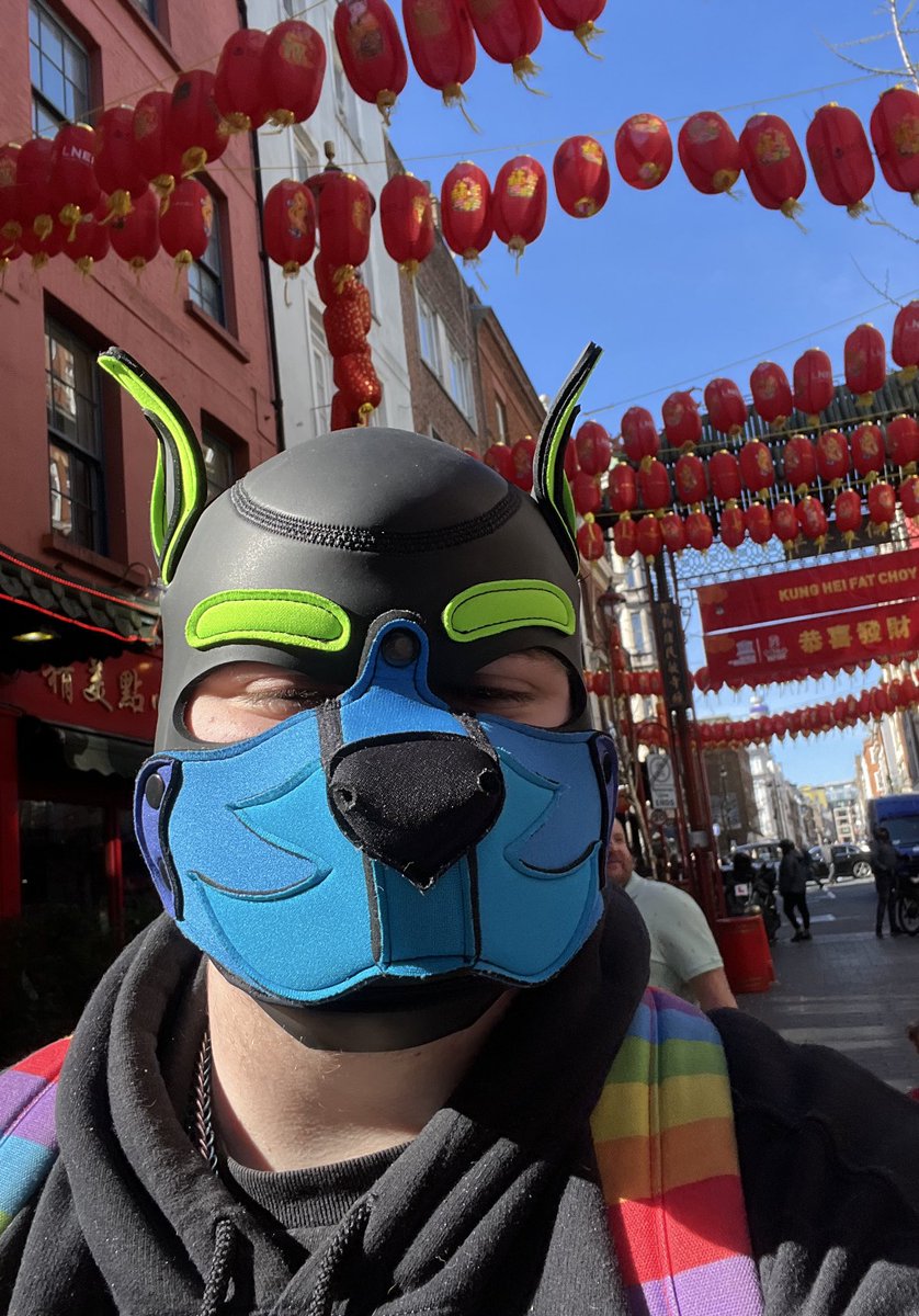 Smol_Pup_Sammy's tweet photo. Puppy gots a new hood, and went on walkies around London 🩵💚

#humanpup #humanpupplay #pupplay #transpup #pupplaycommunity https://t.co/cDJEVohpNJ