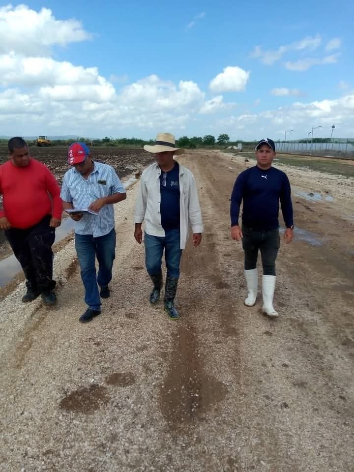 ManuelRAlfaro's tweet photo. Pese a las inclemencias del tiempo y a los contratiempos que esto pudiera ocasionar  en la marcha del Emplazamiento del Parque Fotovoltaico de Las Guásimas en contramaestre se continúan realizando acciones dirigidas por la Dirección del Partido y del Gobierno. #Contramaestre https://t.co/uUmIFp1cOZ