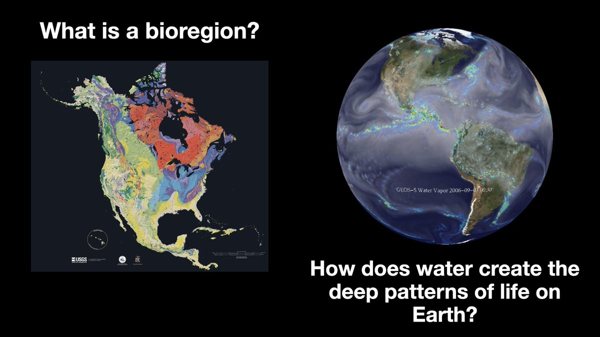One of the deep patterns that organizes life on Earth is how water moves through, within, between, and across landscapes -- a topic we will explore in our 2nd webinar of the learning journey "How to Organize Your Bioregion."

Simply go outside the next time it rains. Watch how