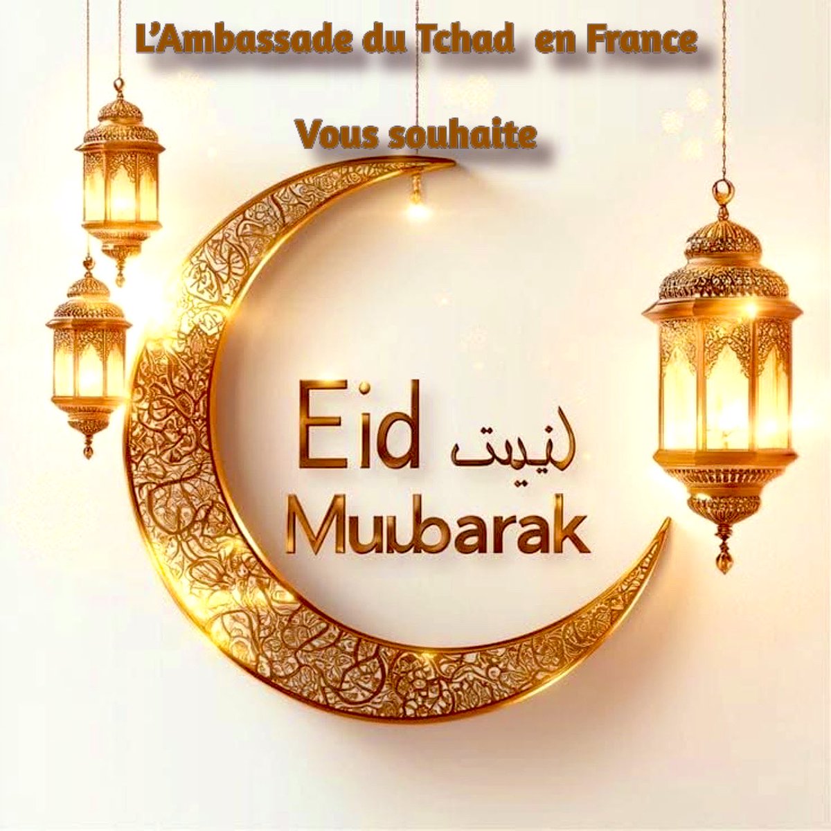 Ambassade du Tchad en France (@ambatchadparis) on Twitter photo 