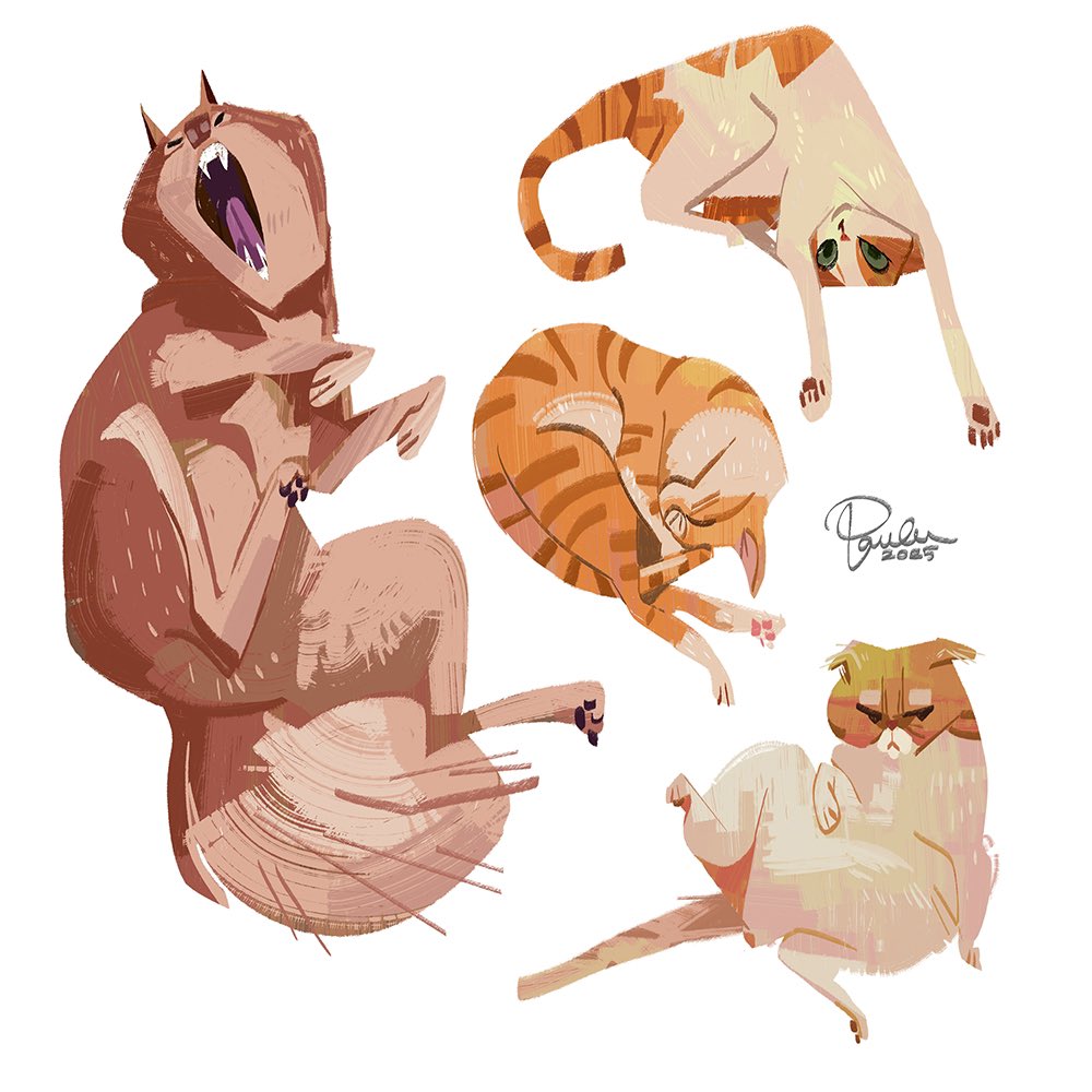 paula_hsu8's tweet image. Dog and Cats 4