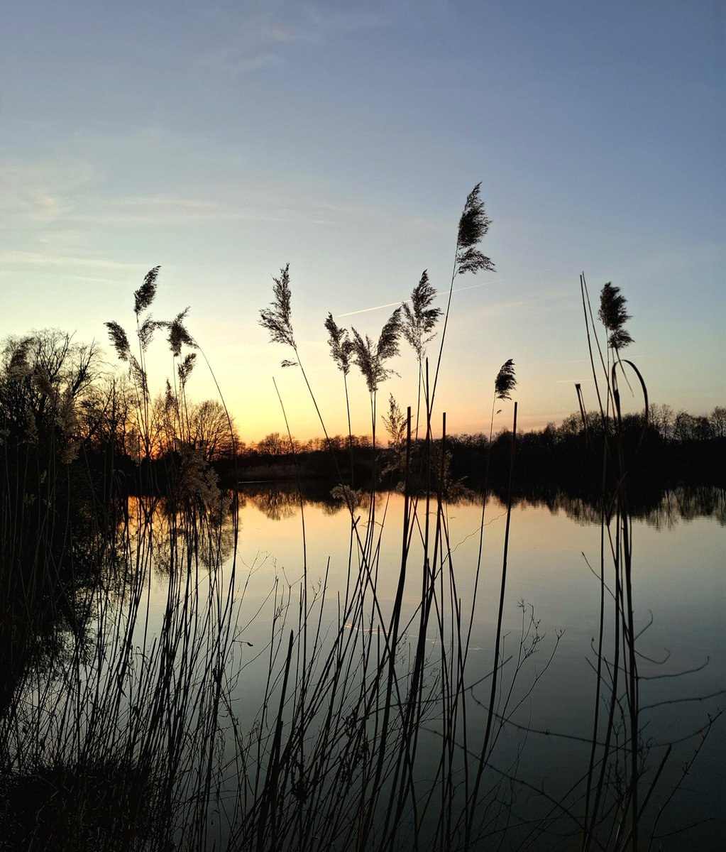 chriz31_07's tweet photo. ItGM! Itโs time for #SundaySharing and #PhotoOfTheWeek.
Please share or QP your favourite photo of the week.
Evening at the lake https://t.co/glhJqg0ydU