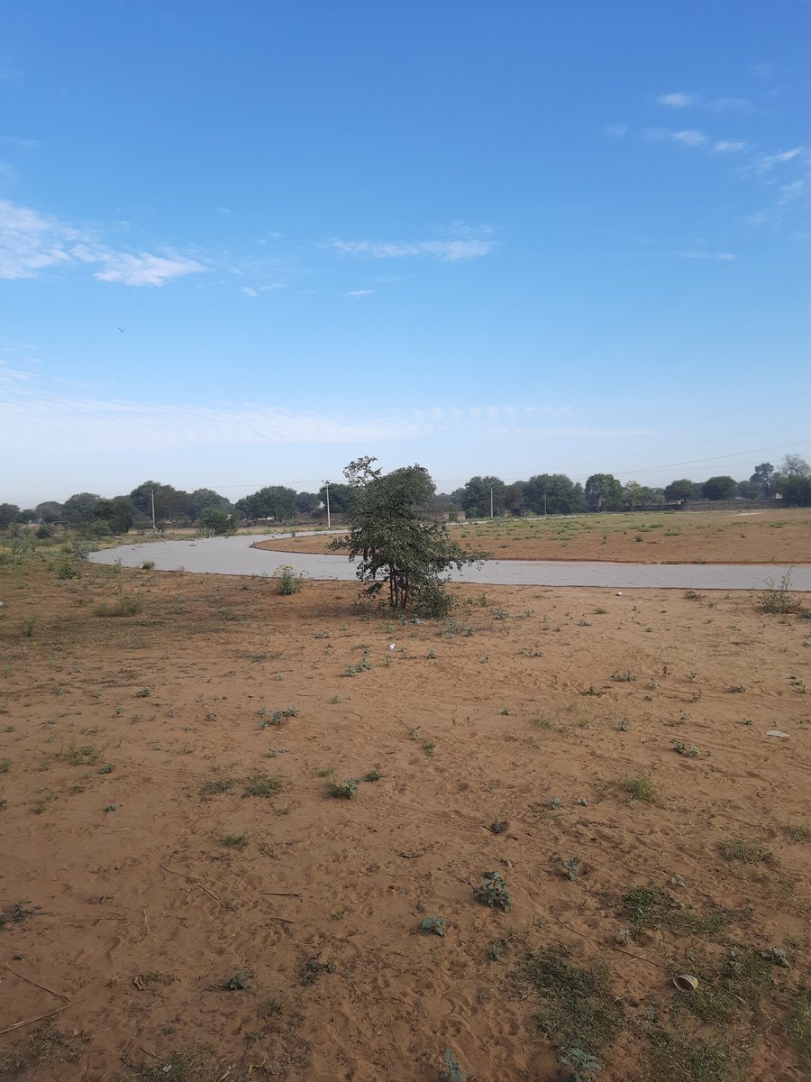 _vedansh_wagh24's tweet image. Just completed an incredible 36-hour journey at AceHack 4.0 UEM, Jaipur, an amazing hackathon. My team SoulSociety developed PurifAI, an AI-powered data management platforms
@AceHack_uemj 

#AceHack4.0 #UEMJaipur #hackathon