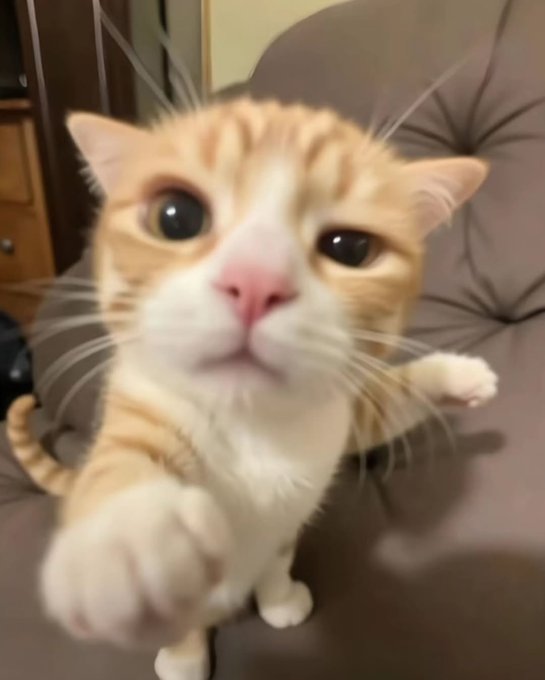 NRG chime tweet media