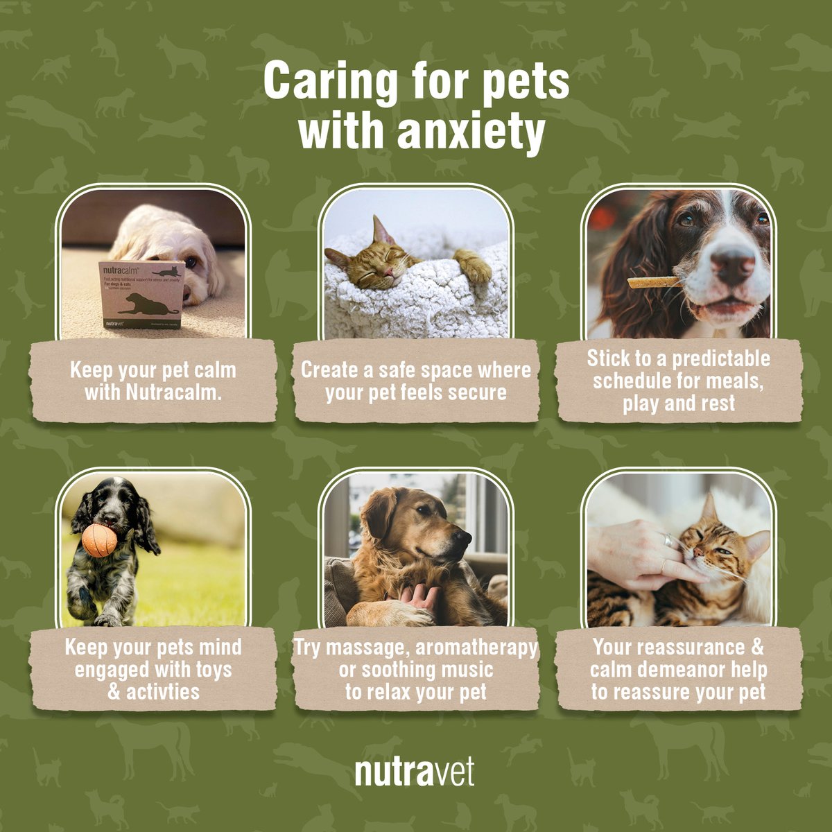 March is Pet Anxiety Month—a time to focus on keeping our furry friends calm and happy! 🐶🐱 From creating a safe space to using calming supplements like Nutracalm, there are many ways to support pets with anxiety. 💚 Learn more about Nutracalm here: nutravet.co.uk/product/nutrac… 🐾✨