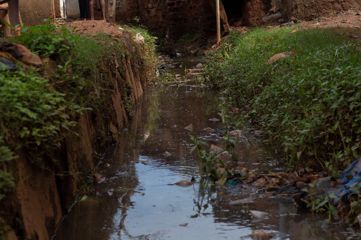 DaisyNakyobe's tweet photo. Being part of #CACclubs tree planting and cleanup reminded me that climate action is not just a choice but a responsibility. Seeing how flooding from poor drainage disrupts lives, I urge everyone to prioritize better #wasteManagement, sustainable drainage systems......... https://t.co/se8WMQIc1D