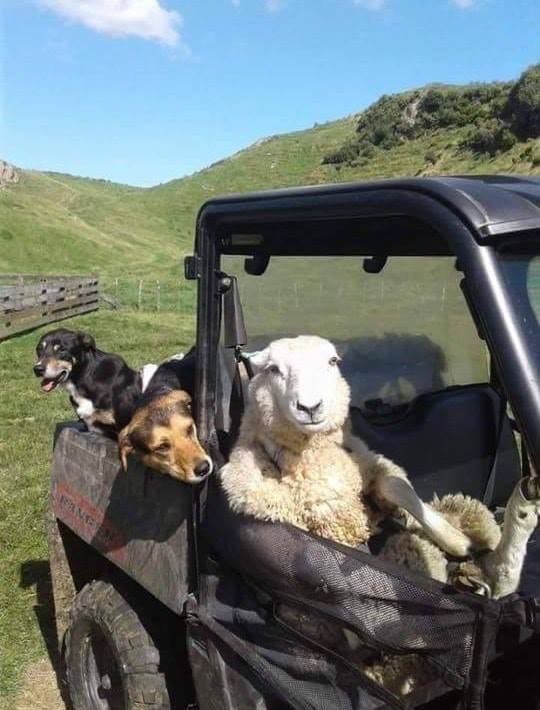 The Revolution has begun…